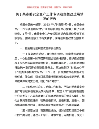 关于某市委安全生产工作专项巡察整改进展情况的报告.docx