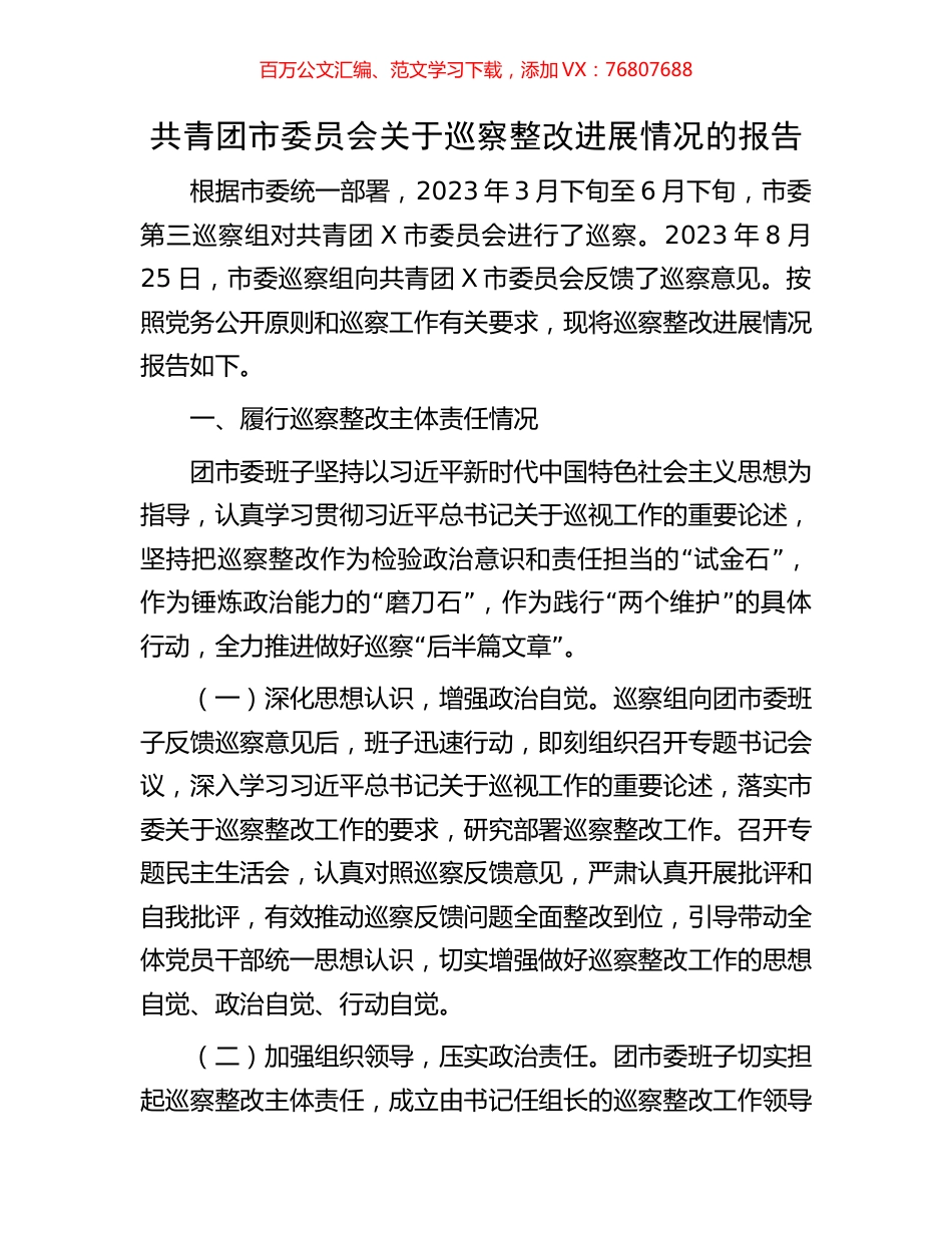 共青团市委员会关于巡察整改进展情况的报告.docx_第1页