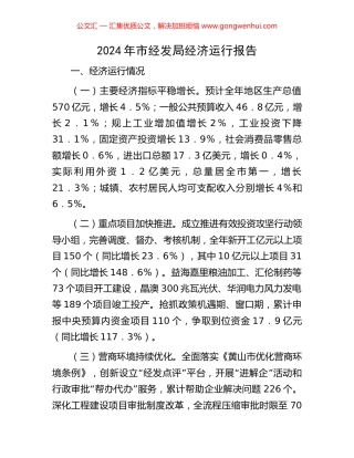 2024年市经发局经济运行报告 (2).docx