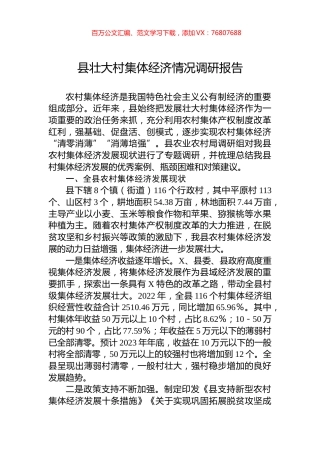 县壮大村集体经济情况调研报告.docx