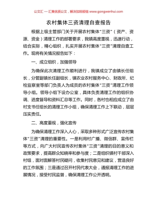 农村集体三资清理自查报告.docx
