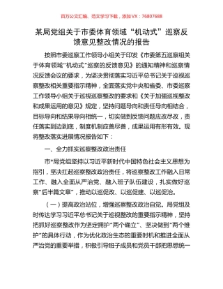 某局党组关于市委体育领域“机动式”巡察反馈意见整改情况的报告.docx