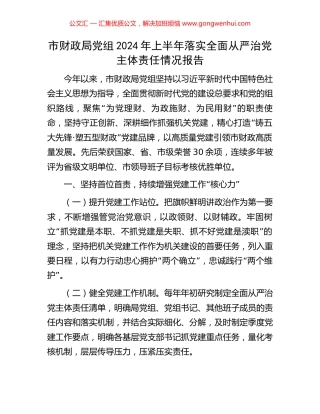 市财政局党组2024年上半年落实全面从严治党主体责任情况报告.docx