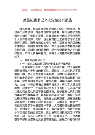 某县纪委书记个人党性分析报告.docx
