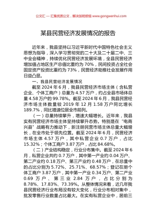 某县民营经济发展情况的报告.docx