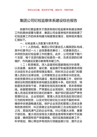 集团公司纪检监察体系建设综合报告.docx