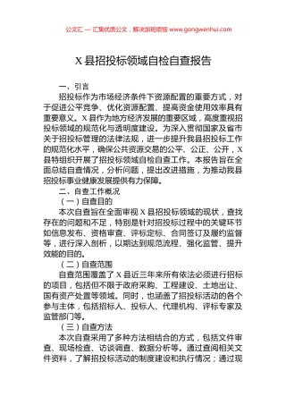 X县招投标领域自检自查报告.docx