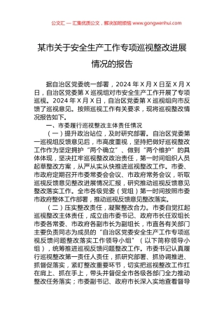 某市关于安全生产工作专项巡视整改进展情况的报告.docx