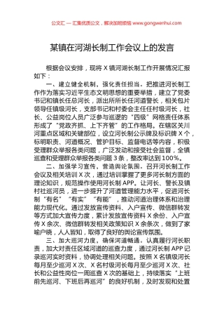 某镇在河湖长制工作会议上的发言.docx