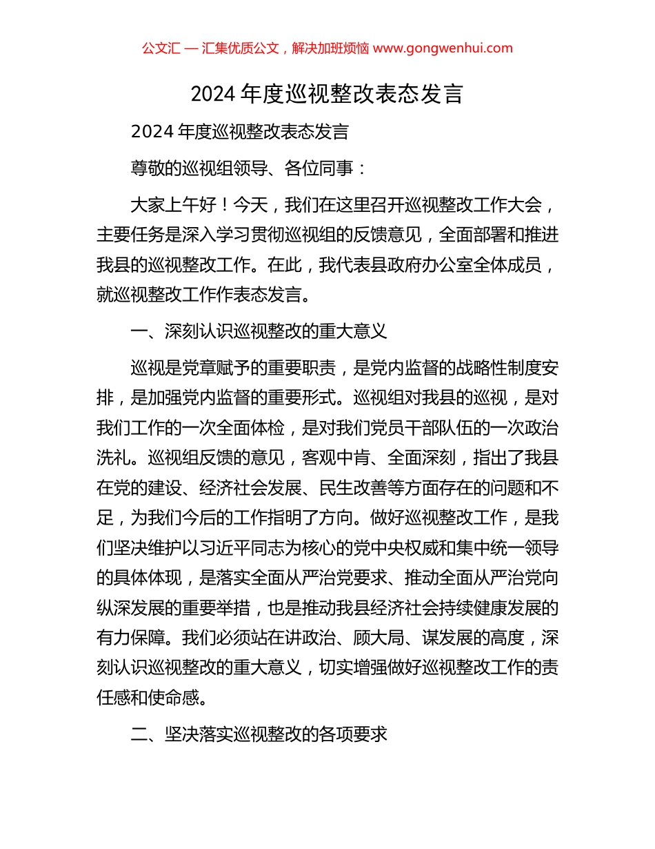 2024年度巡视整改表态发言.docx_第1页