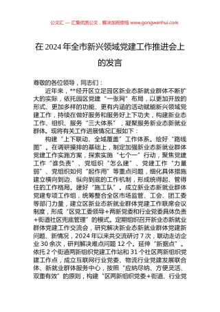 在2024年全市新兴领域党建工作推进会上的发言.docx