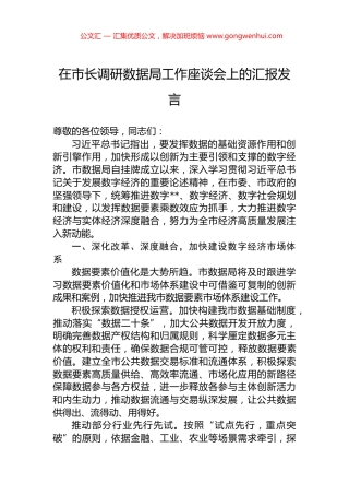 在市长调研数据局工作座谈会上的汇报发言.docx