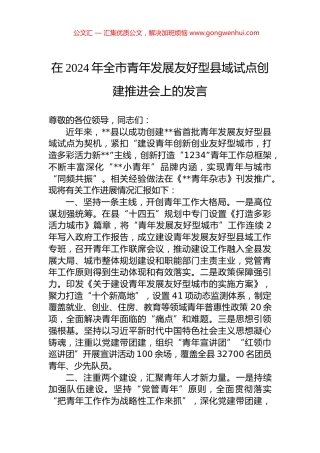 在2024年全市青年发展友好型县域试点创建推进会上的发言.docx