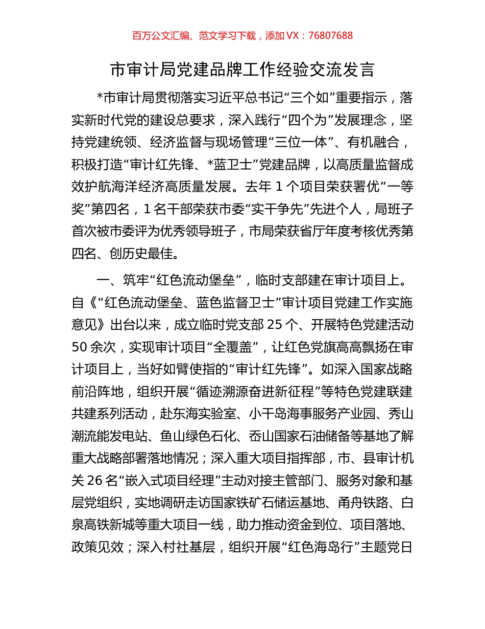 市审计局党建品牌工作经验交流发言.docx_第1页