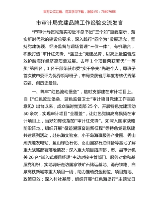 市审计局党建品牌工作经验交流发言.docx