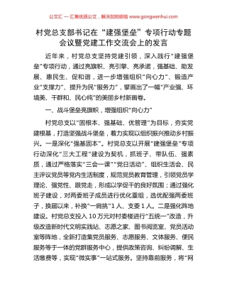 村党总支部书记在“建强堡垒”专项行动专题会议暨党建工作交流会上的发言 (2).docx