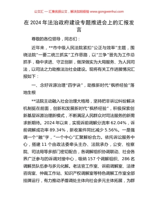 在2024年法治政府建设专题推进会上的汇报发言 (2).docx