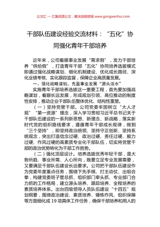干部队伍建设经验交流材料：“五化”协同强化青年干部培养.docx