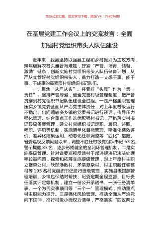 在基层党建工作会议上的交流发言：全面加强村党组织带头人队伍建设.docx