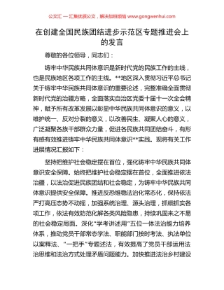 在创建全国民族团结进步示范区专题推进会上的发言.docx