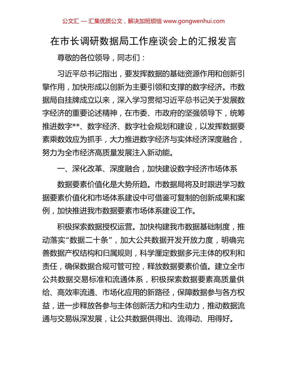 在市长调研数据局工作座谈会上的汇报发言 (2).docx_第1页