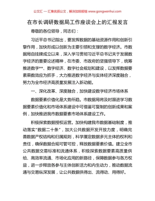 在市长调研数据局工作座谈会上的汇报发言 (2).docx