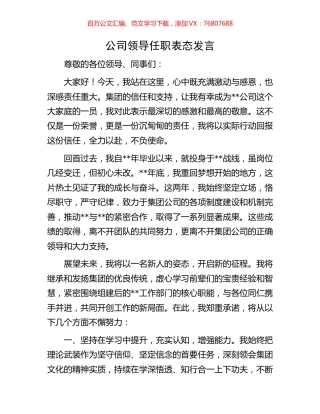 公司领导任职表态发言.docx