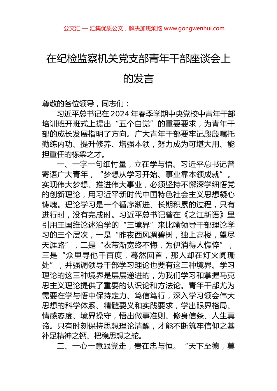 在纪检监察机关党支部青年干部座谈会上的发言.docx_第1页