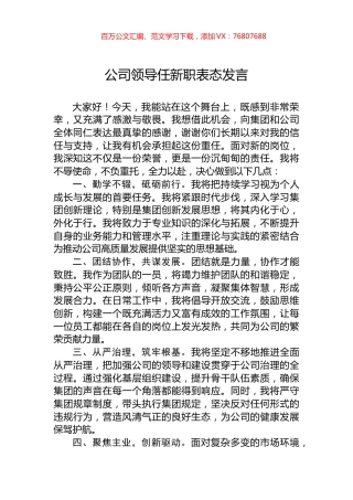 公司领导任新职表态发言.docx