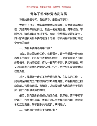 青年干部岗位竞选发言稿.docx