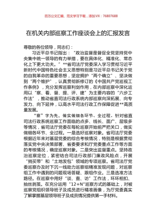 在机关内部巡察工作座谈会上的汇报发言.docx