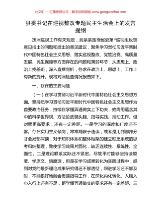 县委书记在巡视整改专题民主生活会上的发言提纲 (2).docx