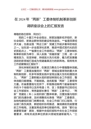 在2024年“两新”工委体制机制革新创新调研座谈会上的汇报发言.docx