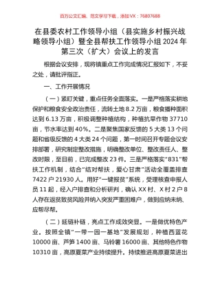 在县委农村工作领导小组（县实施乡村振兴战略领导小组）暨全县帮扶工作领导小组2024年第三次（扩大）会议上的发言.docx