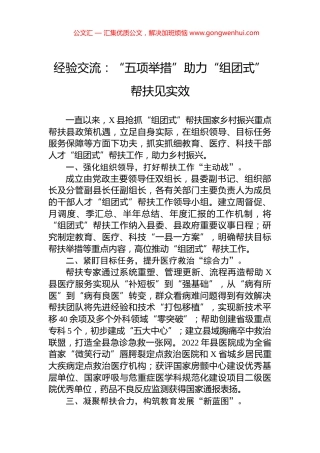 经验交流：“五项举措”助力“组团式”帮扶见实效.docx