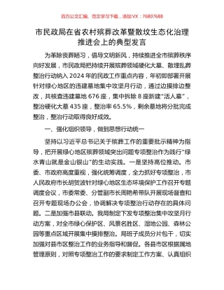 市民政局在省农村殡葬改革暨散坟生态化治理推进会上的典型发言.docx