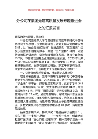 分公司在集团党建高质量发展专题推进会上的汇报发言.docx