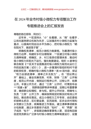 在2024年全市村级小微权力专项整治工作专题推进会上的汇报发言.docx