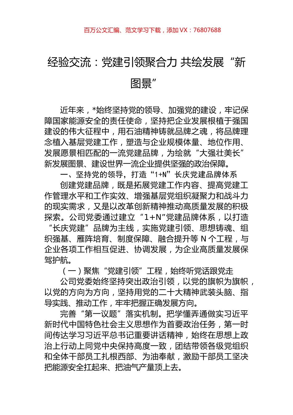 经验交流：党建引领聚合力+共绘发展“新图景”.docx_第1页