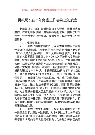 民政局长在半年务虚工作会议上的发言.docx