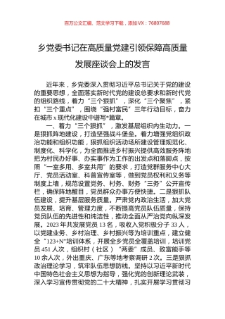 乡党委书记在高质量党建引领保障高质量发展座谈会上的发言.docx