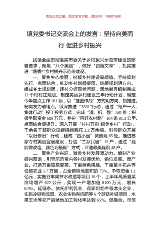 镇党委书记交流会上的发言：坚持向美而行+促进乡村振兴.docx