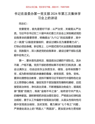 书记在县委办第一党支部2024年第三次集体学习会上的讲话.docx