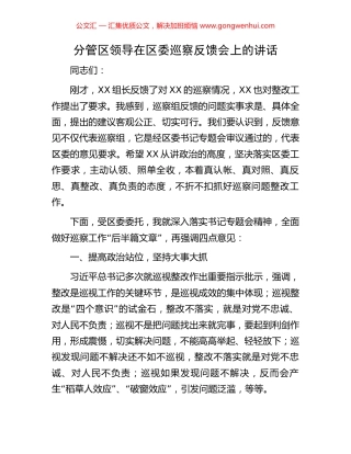 分管区领导在区委巡察反馈会上的讲话 (2).docx