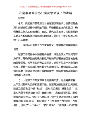 在巡察县政府办公室反馈会议上的讲话.docx