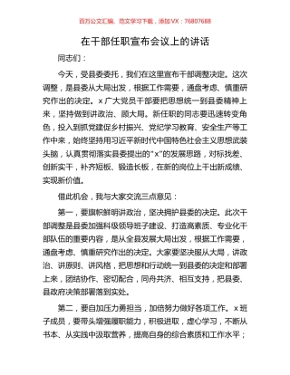 在干部任职宣布会议上的讲话.docx