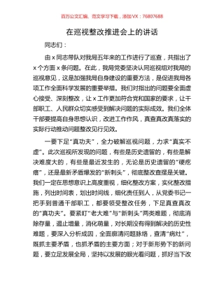 在巡视整改推进会上的讲话.docx
