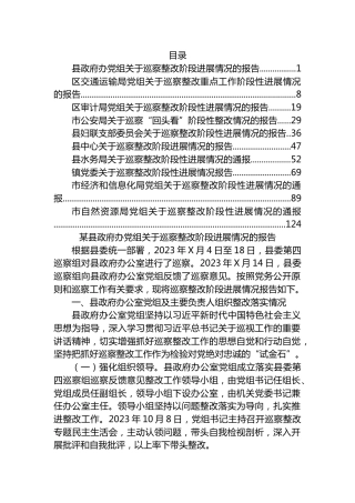 巡察整改阶段进展情况报告汇编（10篇）.docx