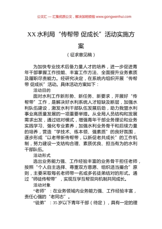 XX水利局“传帮带+促成长”活动实施方案