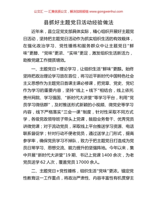 县抓好主题党日活动经验做法